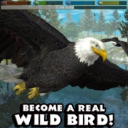 Ultimate Bird Simulator Mod (unlocked)
