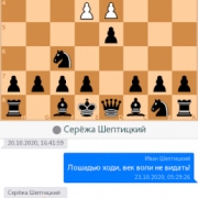 Шахматы с другом