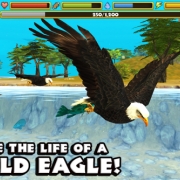 Eagle Simulator™