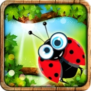 Ladybird Run