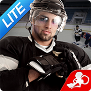 Hockey Fight Pro