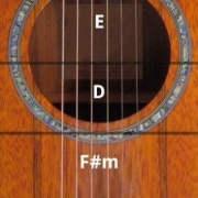 RockOut Acoustic Pro Guitar
