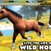 Wild Horse Simulator