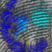 Dynamic Paint Live Wallpaper