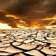 Weather Live Wallpaper