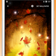 Осенний клен Live Wallpaper