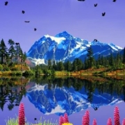 Mountain Lake Live Wallpaper