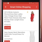 Smart Online China Shopping