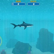Shark Attack Simulator 3D