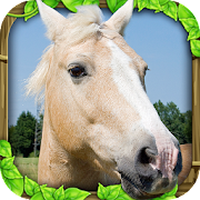 Wild Horse Simulator