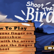 Shoot The Birds