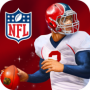 NFL Quarterback 15