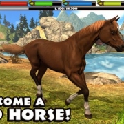 Ultimate Horse Simulator