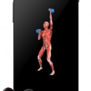 iMuscle 2