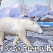 Polar Bear Simulator 2