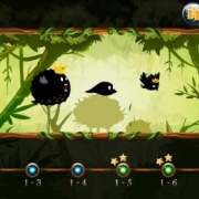 NIMBLE BIRDS