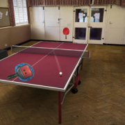 Table Tennis Touch