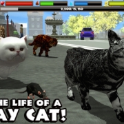 Stray Cat Simulator