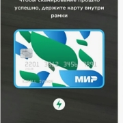 Mir Pay