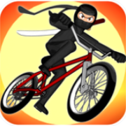 BMX Stunts