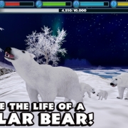 Polar Bear Simulator