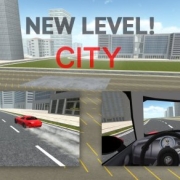 Slalom Racing Simulator