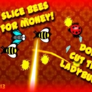 Super Bug Killer : Fly Slice