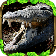 Wildlife Simulator: Crocodile