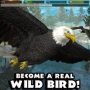 Ultimate Bird Simulator Mod (unlocked)
