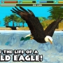 Eagle Simulator™
