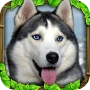 Stray Dog Simulator