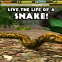 Snake Simulator