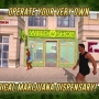 Weed Shop The Game