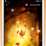 Осенний клен Live Wallpaper