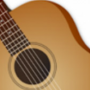 RockOut Acoustic Pro Guitar