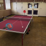 Table Tennis Touch
