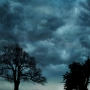 Live Storm Pro Wallpaper
