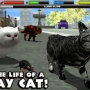 Stray Cat Simulator