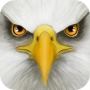 Ultimate Bird Simulator