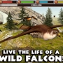 Falcon Simulator